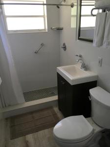 Un baño con inodoro, lavabo y ducha. en Elizabeth House Inn, en Deerfield Beach