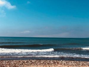 Kép La Pineda Beach szállásáról La Pinedában a galériában