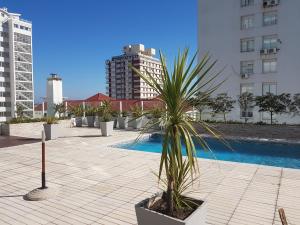 a palm tree in a planter next to a swimming pool at Apartment Peninsula in Punta del Este