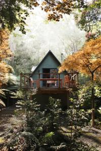 
a wooden cabin with a view of a river at Santosa Cottage Sassafras in Olinda
