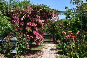 um jardim com flores cor-de-rosa e uma luz de rua em Lemon Garden Lodge em Cirali