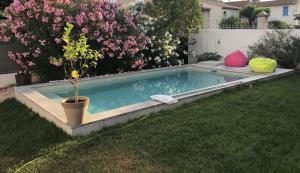 una pequeña piscina con una maceta en un patio en Villa au centre de Nîmes, en Nimes