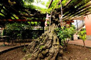 A garden outside Apartment Lake Maggiore - ITALIA