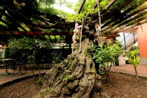 A garden outside Apartment Lake Maggiore - ITALIA