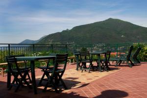 Táj az apartmanhotel közelében