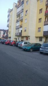 Fotografie z fotogalerie ubytování Lovely L home BN centar -Rent a car automatic v destinaci Bijeljina