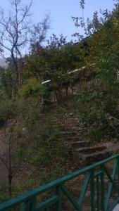 酒店周边自然景观