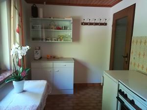 Kuchyň nebo kuchyňský kout v ubytování Ferienwohnung Prast
