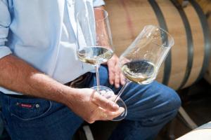 Bebidas en Weingut Dreisiebner Stammhaus