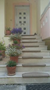 Fotografia z galérie ubytovania Villa Polina v destinácii Skala Potamias