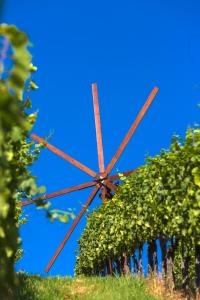 Jardín al aire libre en Weingut Dreisiebner Stammhaus