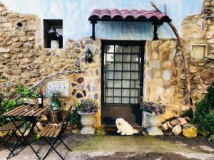 un perro sentado frente a una casa en Cabana del Tio Pepe, en Ainzón