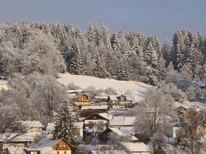 a village covered in snow with trees and houses at Ferienwohnung Dorfblick (Herzog) in Lindberg