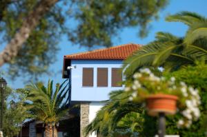 a house with a red roof and palm trees at Blue Dolphin Hotel in Metamorfosi