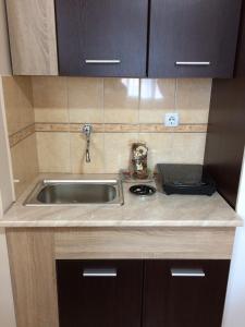 a kitchen with a sink and a counter top at Sobe SANjA in Pirot