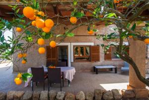 A restaurant or other place to eat at Sa Volta Nova