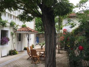 uma mesa e cadeiras debaixo de uma árvore num quintal em Villa Elena em Potes