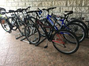 Foto dalla galleria di Apartments Vela Luka a Vela Luka (Vallegrande) Altre 61 foto