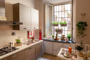 una cocina con fregadero y una ventana con macetas. en ISABEL Guest House, en Roma