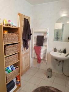 ein Bad mit einem Waschbecken und eine Tür mit einem Handtuch in der Unterkunft Haus Sissi in Andocs