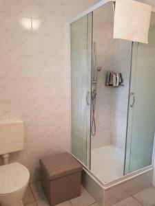uma casa de banho com um chuveiro, um WC e um lavatório. em Haus Sissi em Andocs