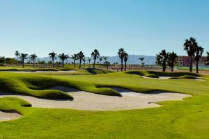 a group of golf courses with palm trees in the background at Cosy Cwtch 2 in Los Alcázares