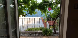 Fotografie z fotogalerie ubytování Apartments Olga & Jure v destinaci Pisak