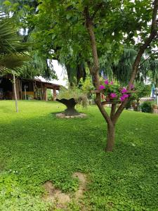 Ein Garten an der Unterkunft Hotel Due Fontane