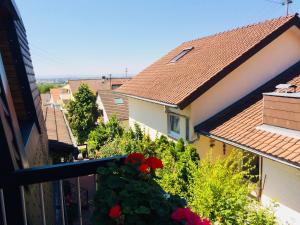 a view from a balcony of a house with red flowers at Gästehaus Kerle in Dossenheim