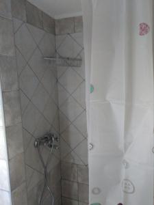 a shower with a shower head in a bathroom at Zefi's Apartment in Nea Peramos +15 photos