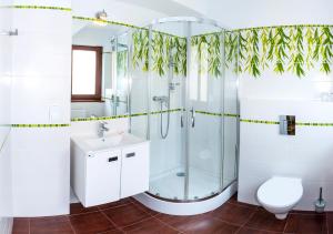 a bathroom with a shower and a toilet and a sink at D.N. Center in Międzyzdroje