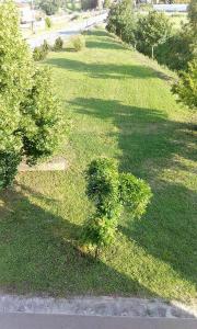 Zahrada ubytování B&B MOLIN DEL TOPO