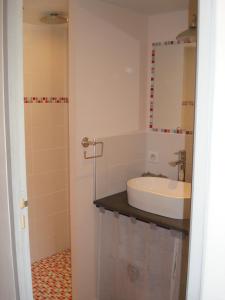 ein Bad mit einem Waschbecken und einer Dusche in der Unterkunft Chambre d'hôtes Les Plaisances in Saint-Julien