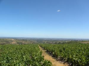 a field of crops with a blue sky in the background at Chambre d'hôtes Les Plaisances in Saint-Julien