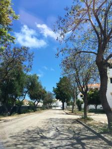 an empty street with trees and a blue sky at T1 Praia de Altura in Altura