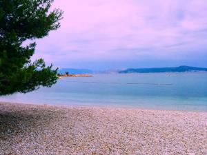 a beach with a tree and the water at Hotel Abalone in Crikvenica