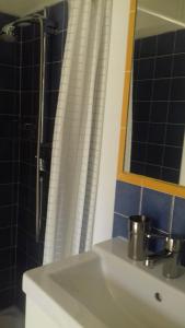 La salle de bains est pourvue d'un lavabo, d'un miroir et d'une douche. dans l'établissement Les grands pins, à Saint-Andiol