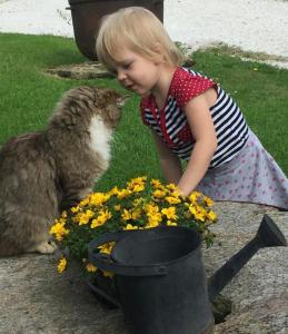 mała dziewczynka bawiąca się kotem i kwiatami w obiekcie Familienbauernhof Gunzer-Sank w mieście Eberstein