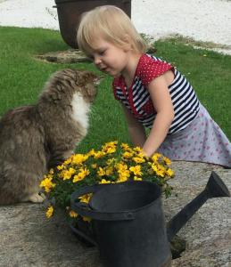 Ein kleines Mädchen, das mit einer Katze und Blumen spielt in der Unterkunft Familienbauernhof Gunzer-Sank in Eberstein