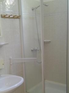 een douche met een glazen deur naast een wastafel bij Rézkakas Fogadó in Zirc