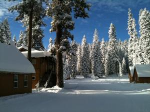 Montecito Sequoia Lodge að vetri til