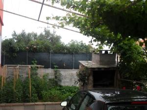 Zahrada ubytování Apartments Valjan