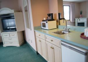 a kitchen with a sink and a microwave at Meadow Court Inn - Ithaca in Ithaca
