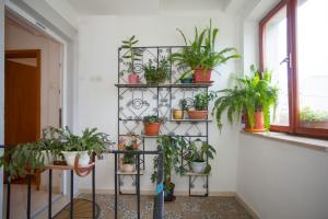 Fotografie z fotogalerie ubytování Apartment Marijeta ve Splitu