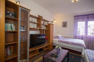 TV a/nebo společenská místnost v ubytování Apartment Marijeta
