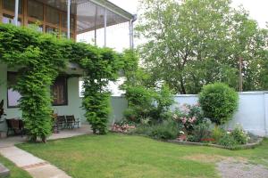 Zahrada ubytování Villa Kursa