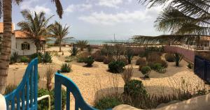 a garden with palm trees and a blue fence at Torre Sabina in Vila do Maio