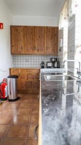 Kuchyň nebo kuchyňský kout v ubytování Lava Guesthouse