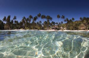 Fotografie z fotogalerie ubytování Mango Bay Resort v destinaci Namatakula