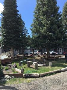 a grave yard with two trees and a car parked at Columbine Cabins in Grand Lake
